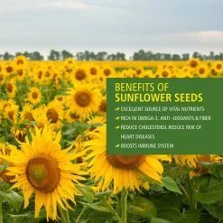 Bagul Foods Everyday Four Raw Sunflower Seeds |Combo Pack |150g Each Snacks & Beverages 7 Bagul Foods Everyday Four Raw Sunflower Seeds |Combo Pack |150g Each Snacks & Beverages