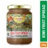 Spreads Sauce & Ketchup Dhampur Green Kiwi Spicy-Spread From Himalayas 300g