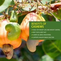 Bagul Foods Everyday Four Cashew Nuts |Combo Pack |200g Each Grocery