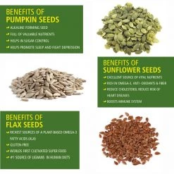 Bagul Foods Snacks & Beverages Everyday Four Raw Pumpkin Seeds + Raw Sunflower + Raw Flax Seeds |Combo Pack |150g Each