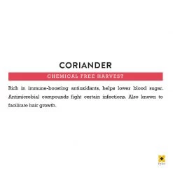 Farm Stories Grocery Farmstories Organic Coriander (100 G)