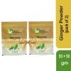 MITTAL ORGANICS PRIVATE LIMITED Mittal Organics Ginger Powder (Pack Of 2) - 50 G