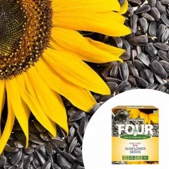 Bagul Foods Everyday Four Raw Sunflower Seeds |Combo Pack |150g Each Snacks & Beverages 9 Bagul Foods Everyday Four Raw Sunflower Seeds |Combo Pack |150g Each Snacks & Beverages