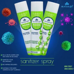 Go Bharatiya Melange Room Sanitizer Spray (300 Ml) Personal & Home Care