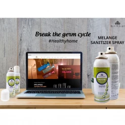 Go Bharatiya Melange Room Sanitizer Spray (300 Ml) Personal & Home Care