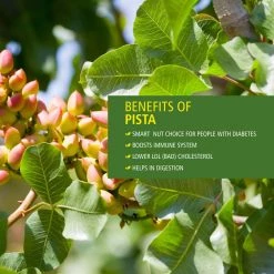 Bagul Foods Everyday Four Roasted & Lightly Salted Iranian Pistachio 200g