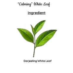 Radhikas Fine Teas And Whatnots Radhikas Fine Teas Calming White Leaf (50 G) Makes 25 Cups Snacks & Beverages