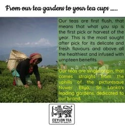 Radhikas Fine Teas And Whatnots Radhikas Fine Teas Rejuvenating Lanka Kiwi Tea (50 G) Snacks & Beverages