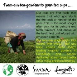 Radhikas Fine Teas And Whatnots Radhikas Fine Teas Soothing Almond Kashmiri Kahwa (100 G) Makes 50 Cups