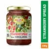 Dhampur Green Strawberry Spicy-Spread From Himalayas 300g Grocery
