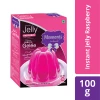 MOMENTS INDUSTRIES Moments Instant Jelly Raspberry 100 Gm