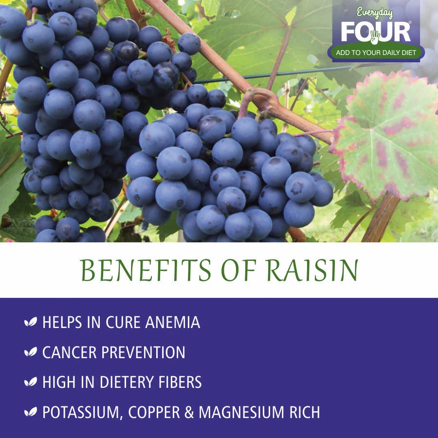 Bagul Foods Everyday Four Seedless Afghan Black Raisins | Combo Pack | 200g Each Grocery 4 Bagul Foods Everyday Four Seedless Afghan Black Raisins | Combo Pack | 200g Each Grocery