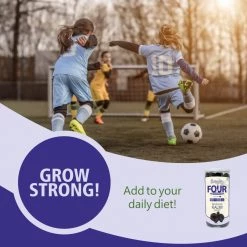 Bagul Foods Everyday Four Seedless Kalmi (Safawi) Dates 400g Grocery