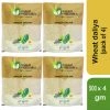 MITTAL ORGANICS PRIVATE LIMITED Grocery Mittal Organics Wheat Daliya (Pack Of 4) - 500 G