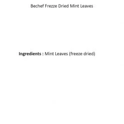 Be Cheff Bechef Mint Leaves Seasoning (25 Gms) Herbs & Seasoning