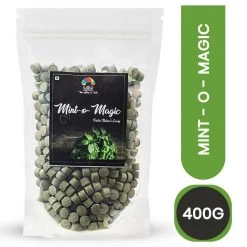 Mr Merchant Mr. Merchant Mint-O-Magic (Pachak Pudina Vati Churan Goli), 400 Grams