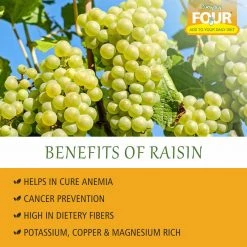 Bagul Foods Grocery Everyday Four Golden Long Raisins | Combo Pack | 200g Each