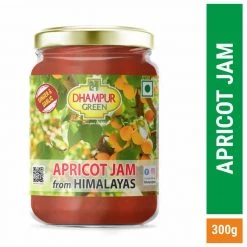 Spreads Sauce & Ketchup Dhampur Green Apricot Spicy-Spread From Himalayas 300g